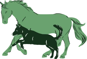 Tierphysiotherapie Laura Angele Tierphysiotherapie Laura Angele